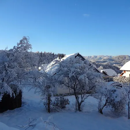 Fine Slovenia Lejlighed Zirovnica