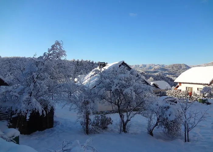 Fine Slovenia Apartman Žirovnica